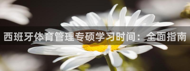 必一体育服下载最新版本更新内容