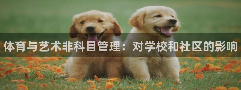 必一体育服下载最新版本更新内容