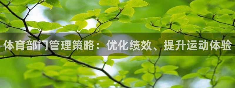 必一体育网页登录版官