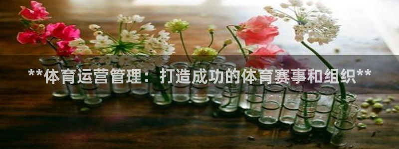 必一体育下载app下载：**体育运营管理：打造成功的体育赛事